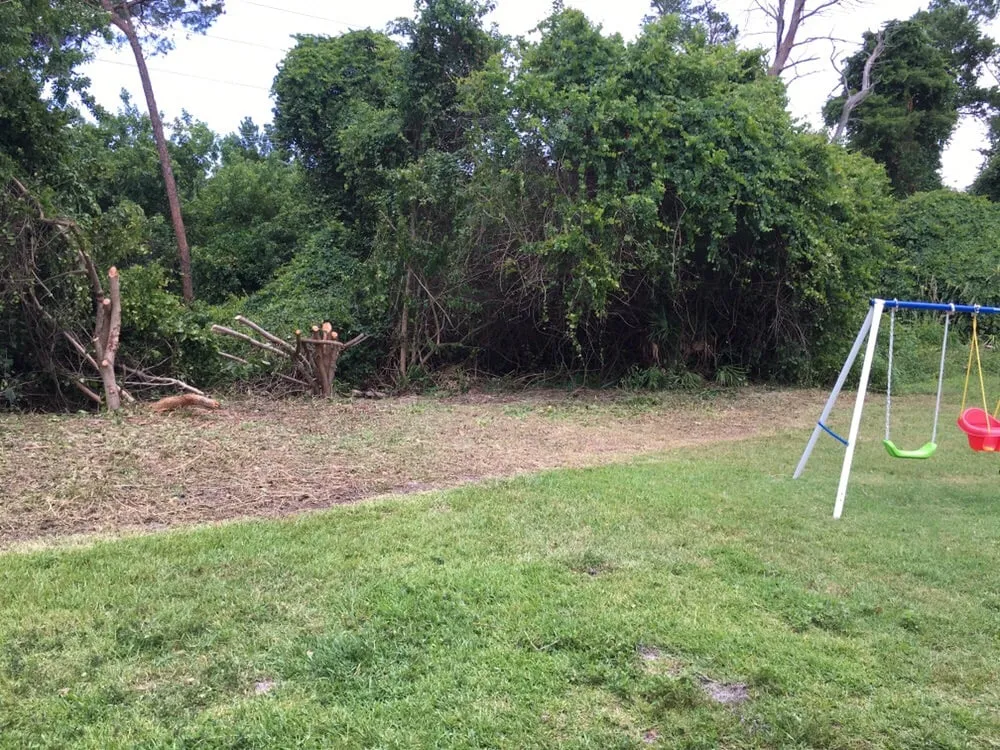 Top-rated yard cleanup service with custom design in Palm Bay, FL by S & S Complete Lawn Care