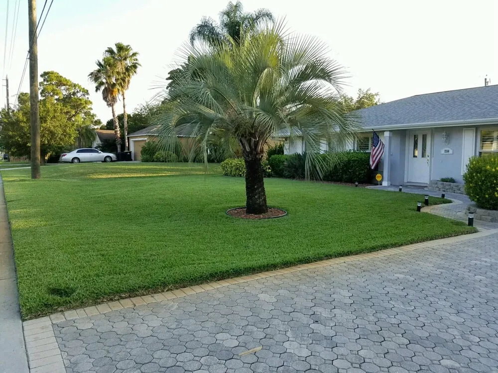 Professional yard cleanup service in Palm Bay, FL - S & S Complete Lawn Care