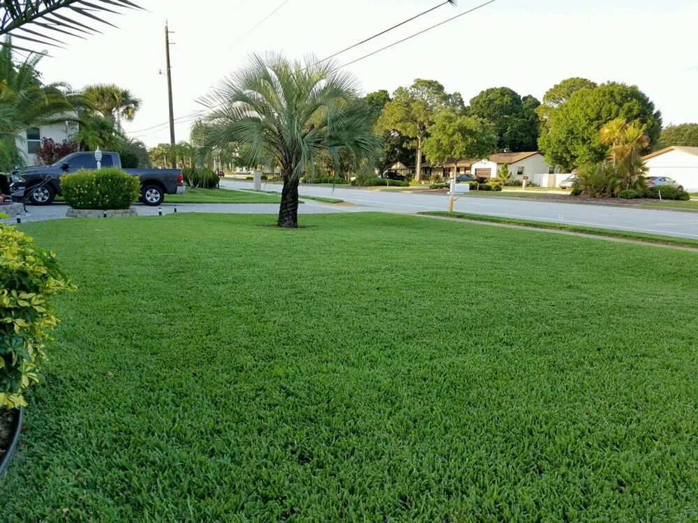 Reliable lawn mowing service experts serving Palm Bay, FL - S & S Complete Lawn Care