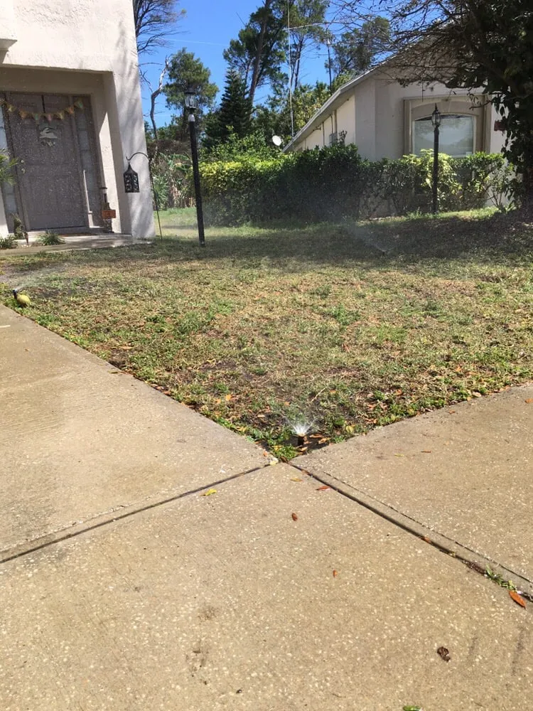 Reliable landscaping services experts serving Palm Bay, FL - S & S Complete Lawn Care