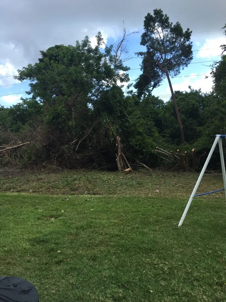 Top-rated lawn care service for homes across Palm Bay, FL - S & S Complete Lawn Care