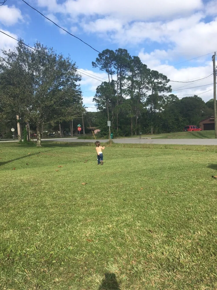 Affordable residential landscaping for outdoor upgrades across Palm Bay, FL - S & S Complete Lawn Care