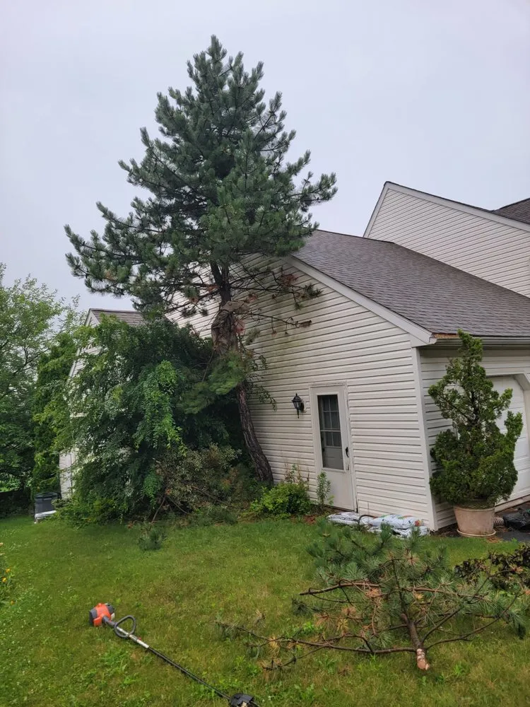 Top-rated lawn care service in York, PA by S & S Landscape and More