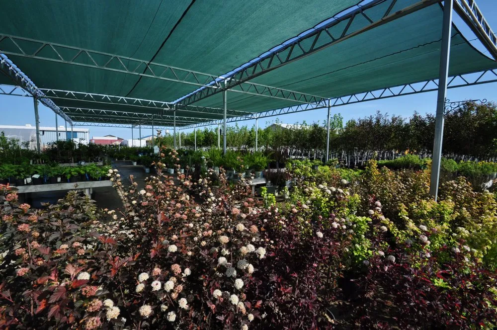 Affordable landscape design in Fargo, ND - S & S Landscaping