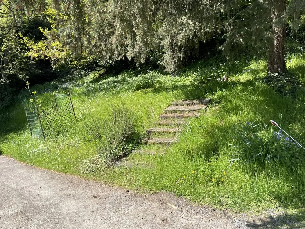 Expert landscape design for outdoor upgrades in Oakridge, OR by S & S Lawn and Garden