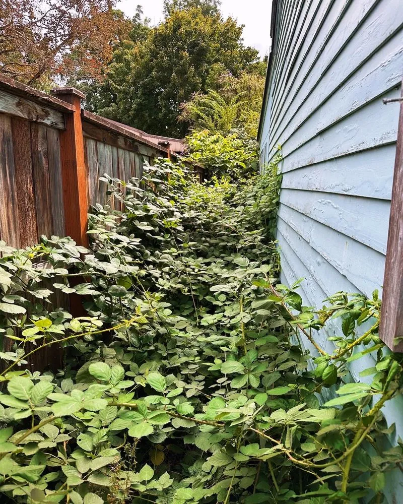 Expert lawn mowing service near you across Oakridge, OR - S & S Lawn and Garden