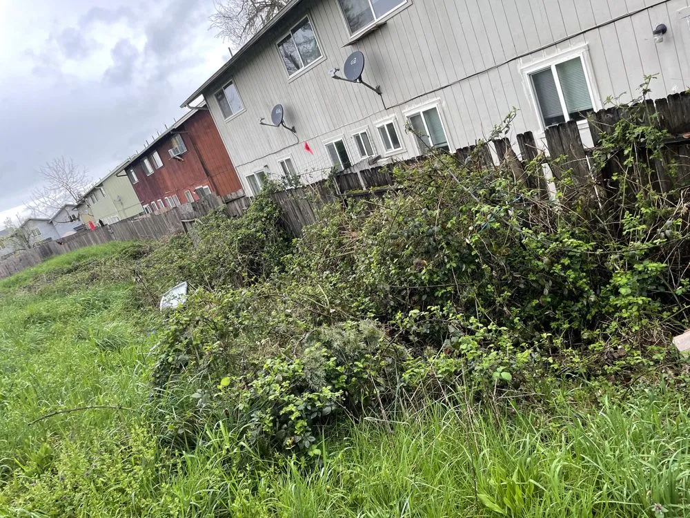 Local yard maintenance experts serving Oakridge, OR - S & S Lawn and Garden