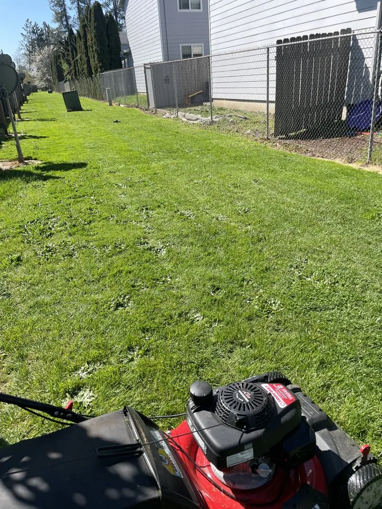 Affordable lawn mowing service in Oakridge, OR - S & S Lawn and Garden