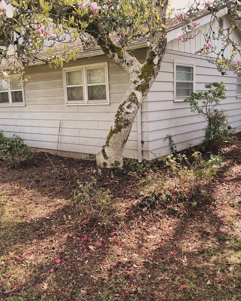 Custom outdoor landscaping in Oakridge, OR - S & S Lawn and Garden