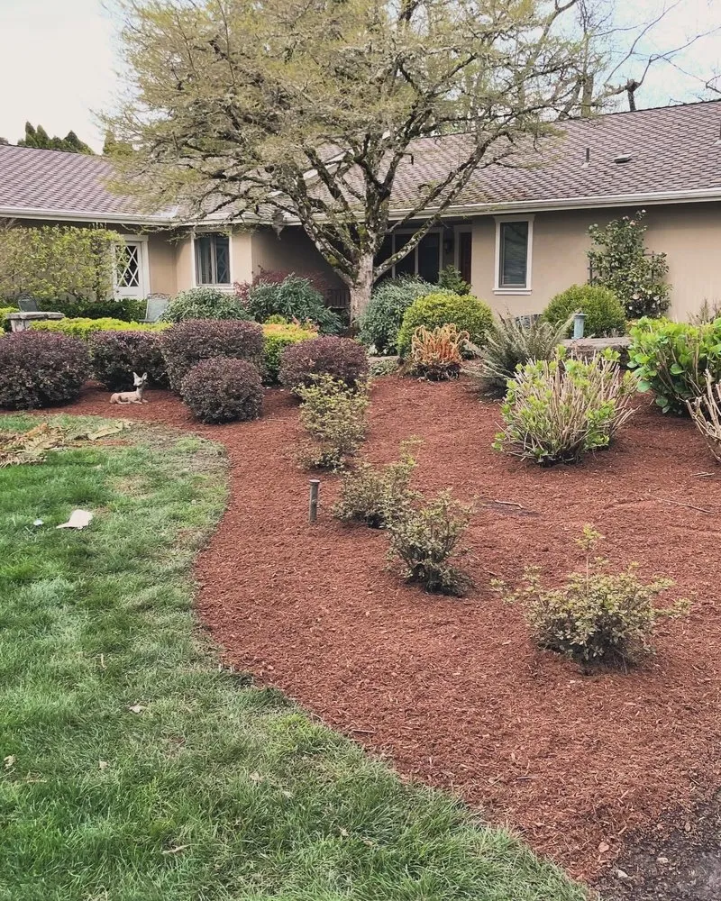 Affordable outdoor landscaping near you in Oakridge, OR by S & S Lawn and Garden