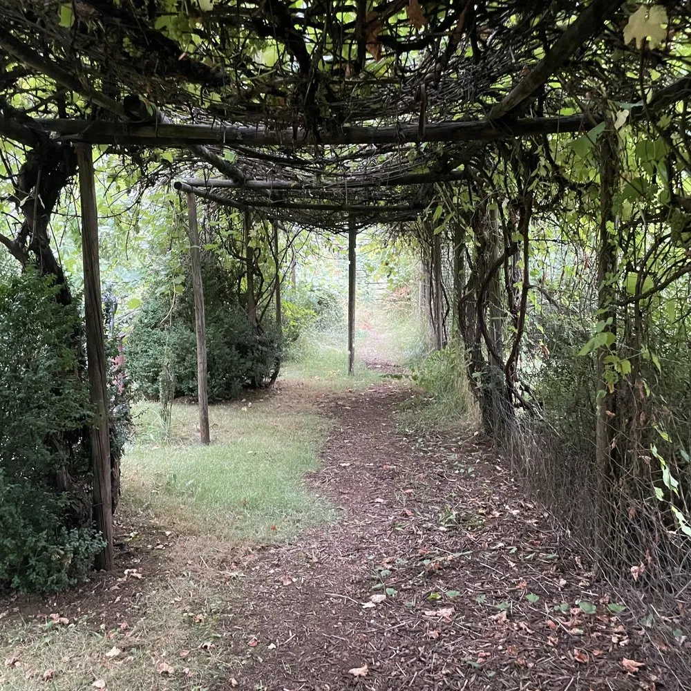 Reliable landscape installation experts serving Oakridge, OR - S & S Lawn and Garden