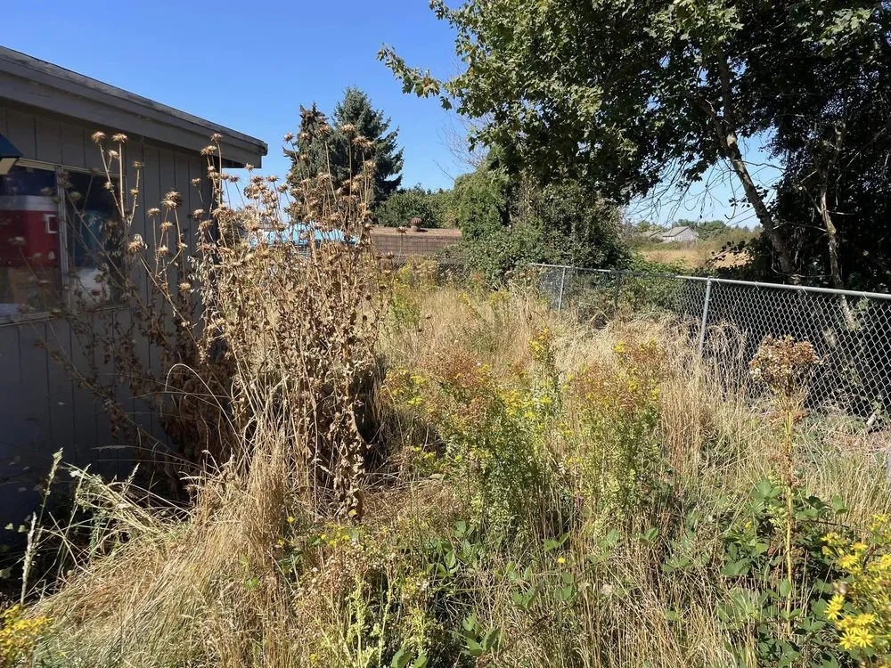 Affordable landscape design for beautiful yards across Oakridge, OR - S & S Lawn and Garden