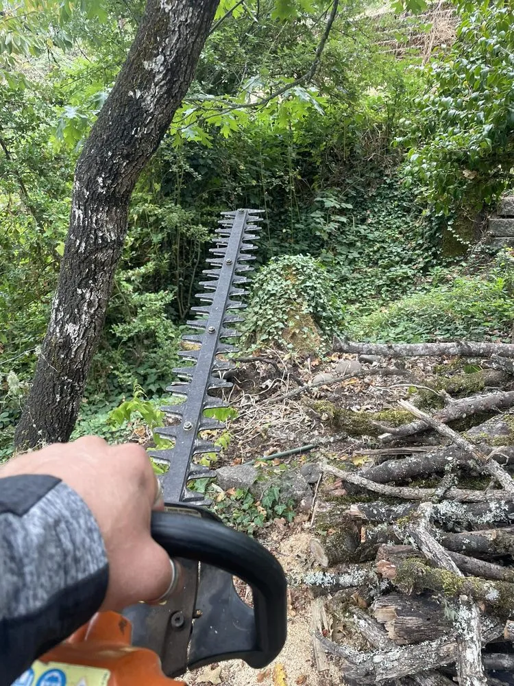 Top-rated lawn mowing service in Oakridge, OR - S & S Lawn and Garden