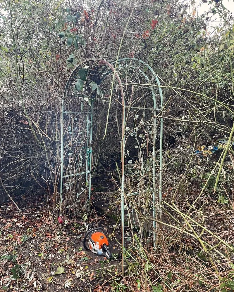 Professional landscape design in Oakridge, OR by S & S Lawn and Garden