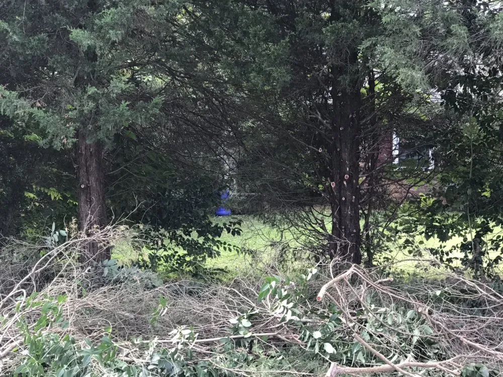 Custom landscape design for beautiful yards across New London, NC - S & S Lawn Care