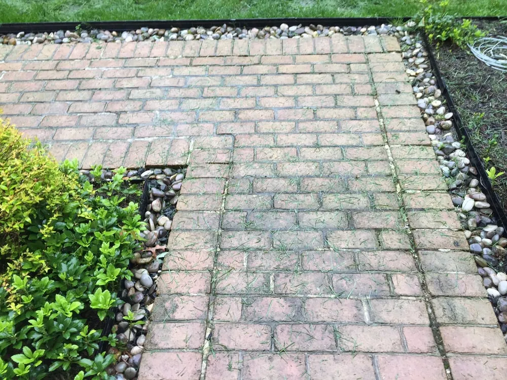 Affordable yard maintenance in Chantilly, VA - S & S Lawn Services