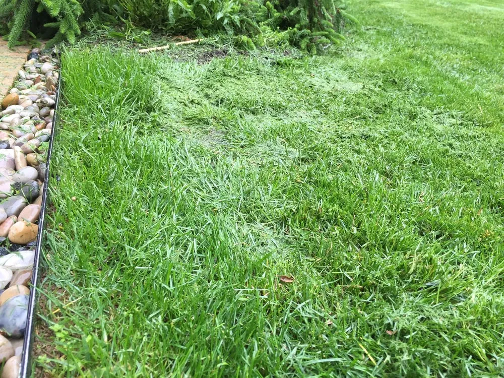 Trusted residential landscaping experts serving Chantilly, VA - S & S Lawn Services