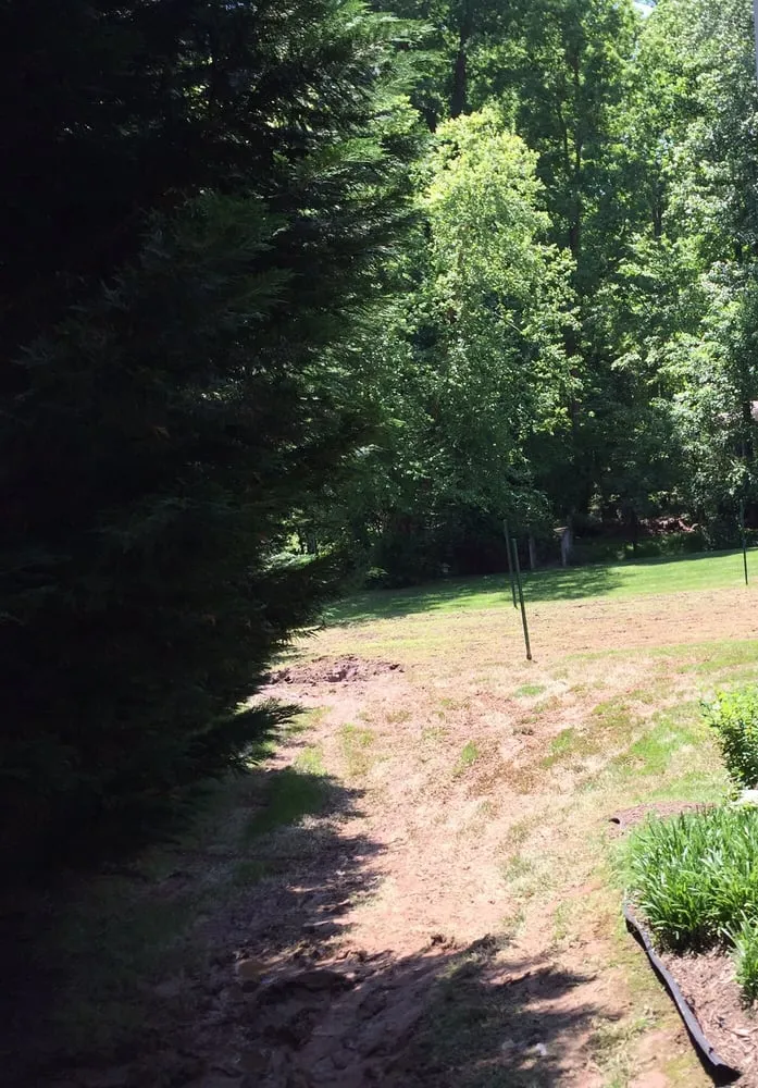 Local yard cleanup service with custom design across Chantilly, VA - S & S Lawn Services