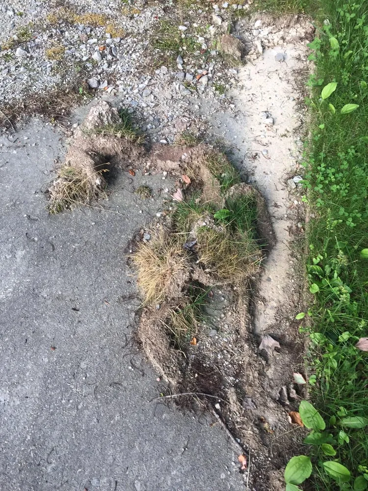 Custom outdoor landscaping in Chantilly, VA by S & S Lawn Services