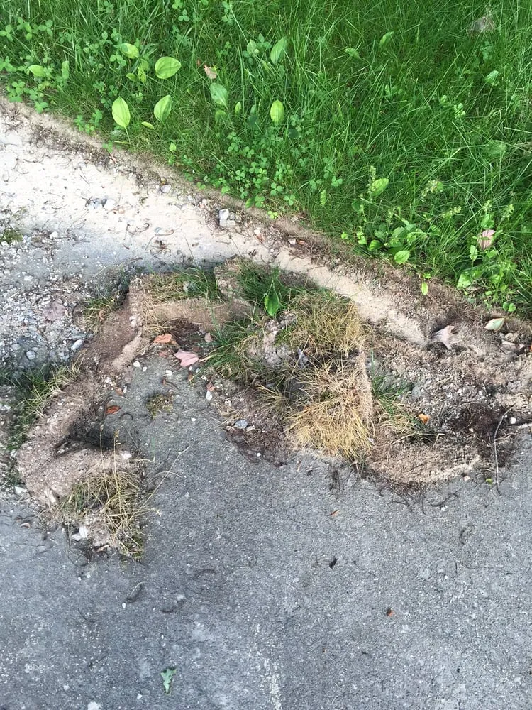 Trusted landscaping services for outdoor upgrades in Chantilly, VA by S & S Lawn Services