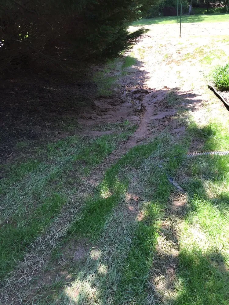 Affordable residential landscaping for residential properties in Chantilly, VA by S & S Lawn Services