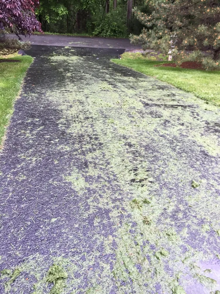 Affordable outdoor landscaping experts serving Chantilly, VA - S & S Lawn Services