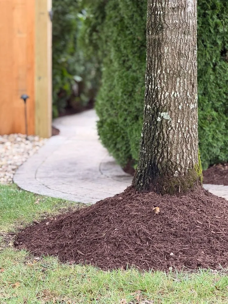 Expert lawn mowing service near you across Nashville, TN - S & S Services