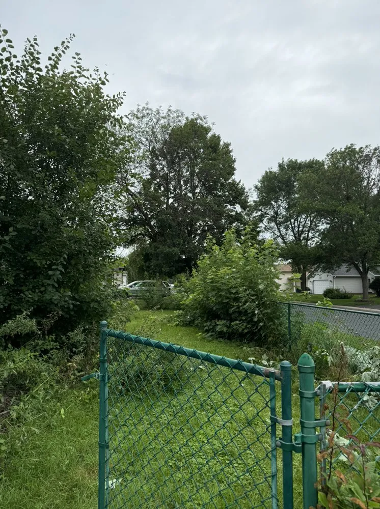 Top-rated lawn care service experts serving Lakeville, MN - S & Sam’s Lawn & Landscape