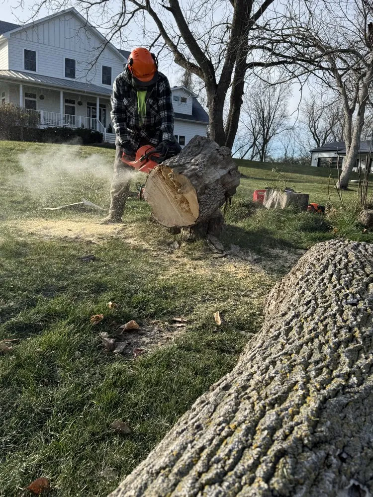 Custom landscaping services for year-round maintenance in Lakeville, MN by S & Sam’s Lawn & Landscape