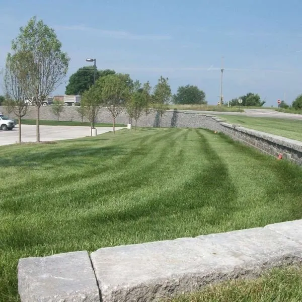 Custom lawn mowing service experts serving Sedalia, MO - S & T Landscaping & Irrigation