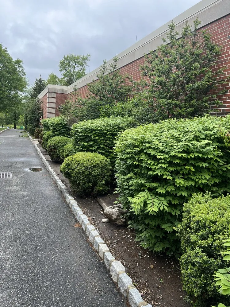 Affordable lawn care service in Dover, NJ - S & V Landscaping