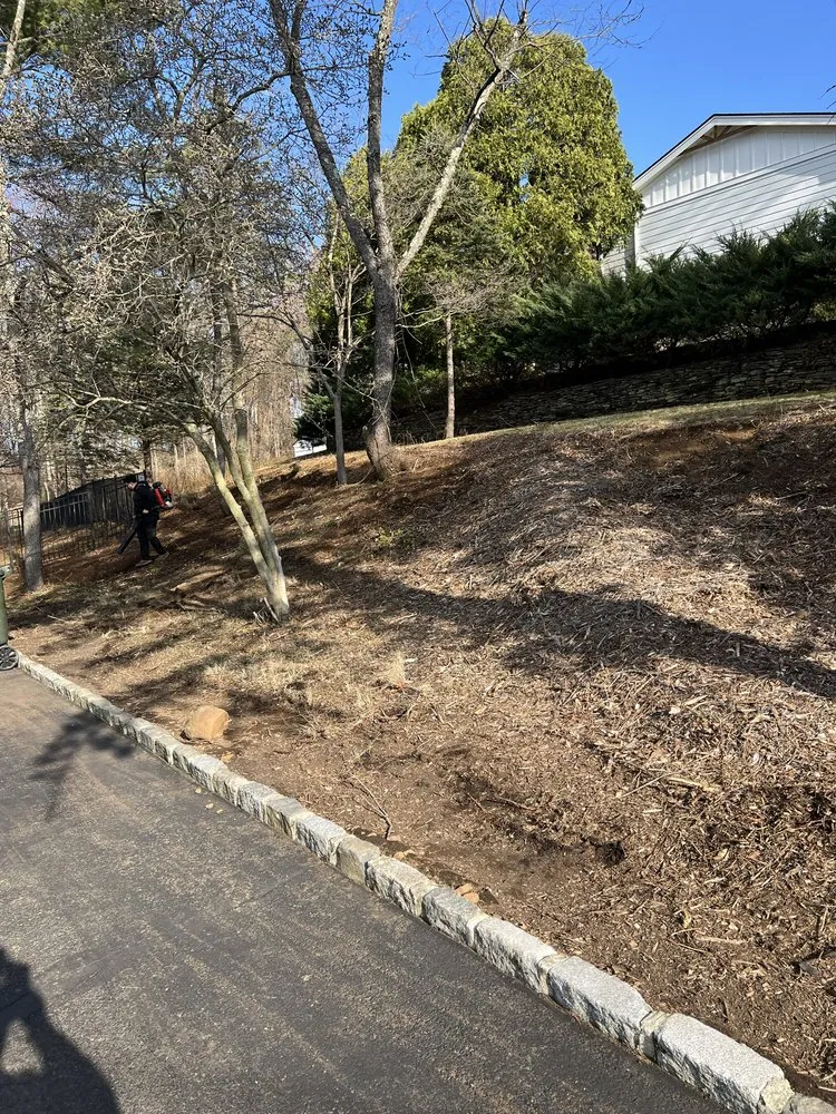 Affordable lawn care service in Dover, NJ - S & V Landscaping