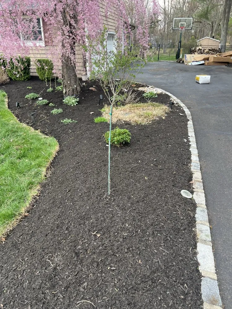 Top-rated landscape design in Dover, NJ - S & V Landscaping