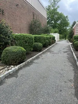 S & V Landscaping Logo