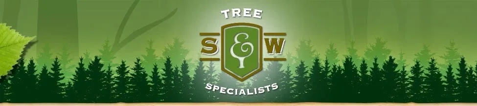 Local landscape design experts serving Broken Arrow, OK - S & W Tree Specialists