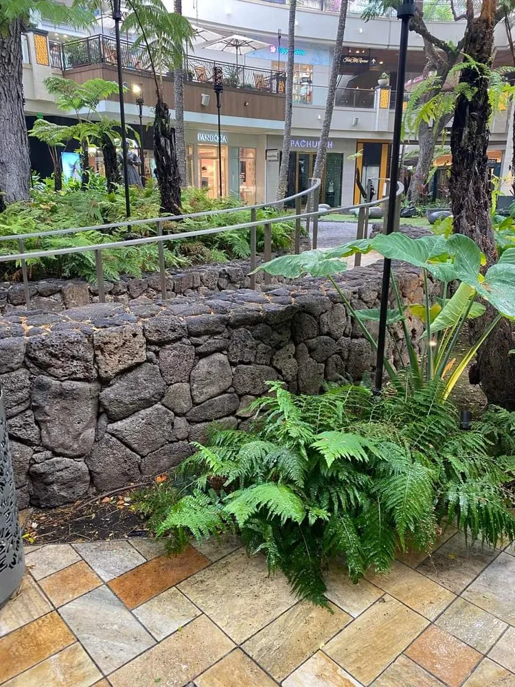 Trusted yard cleanup service in Honolulu, HI - S A & Brothers