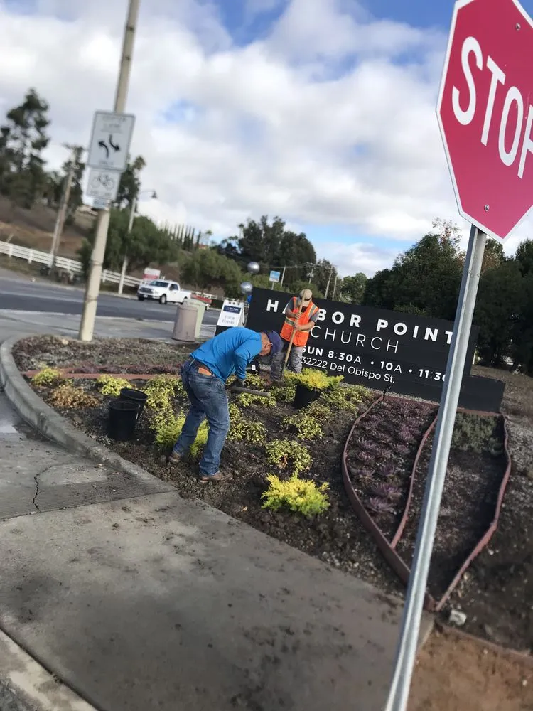 Top-rated garden landscaping near you across Santa Ana, CA - S A Landscape