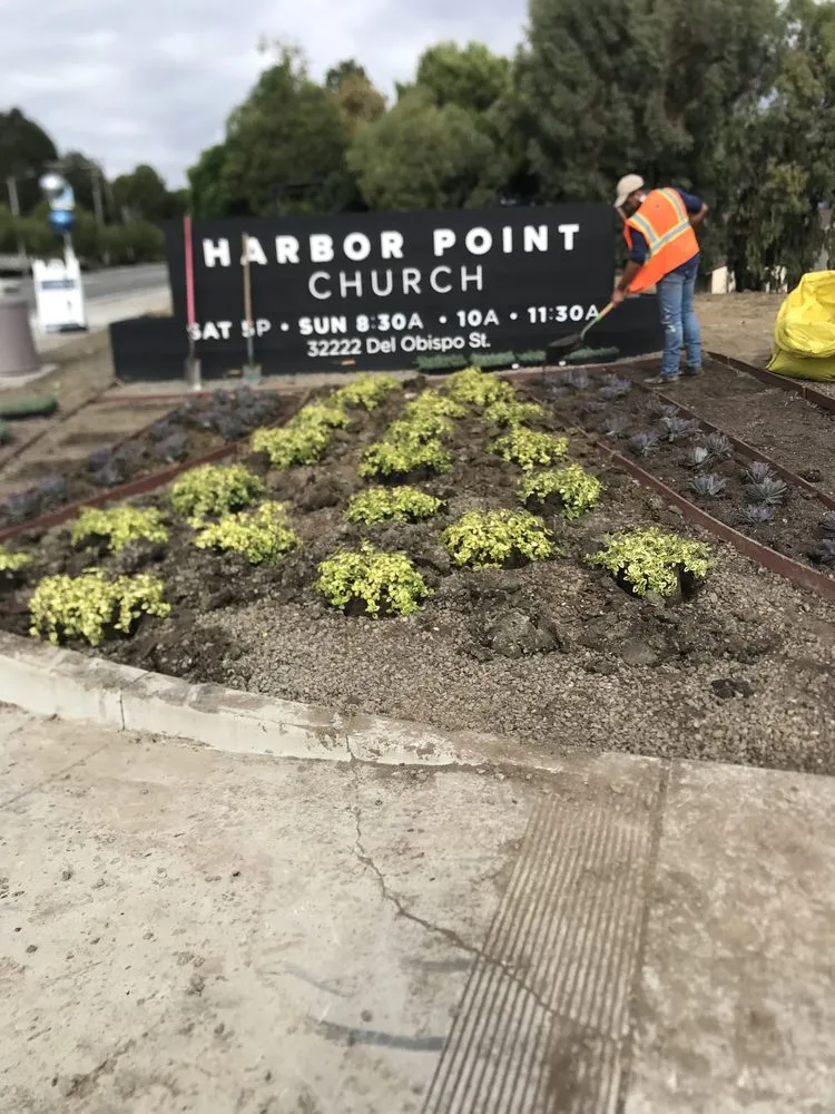 Trusted landscaping services experts serving Santa Ana, CA - S A Landscape