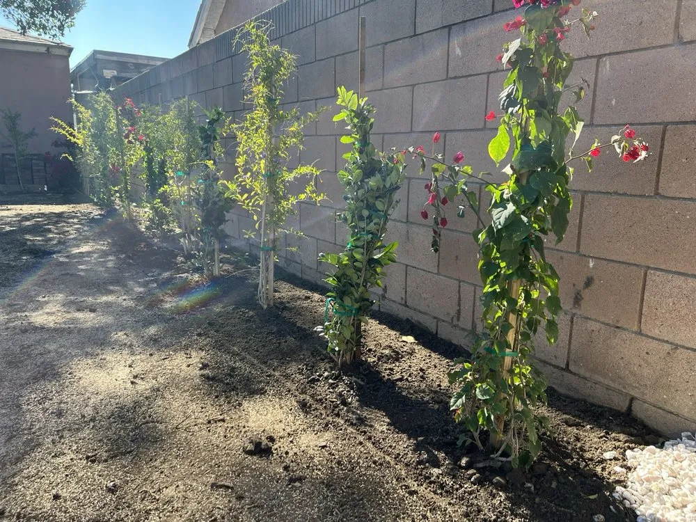 Local garden landscaping in Santa Ana, CA - S A Landscape