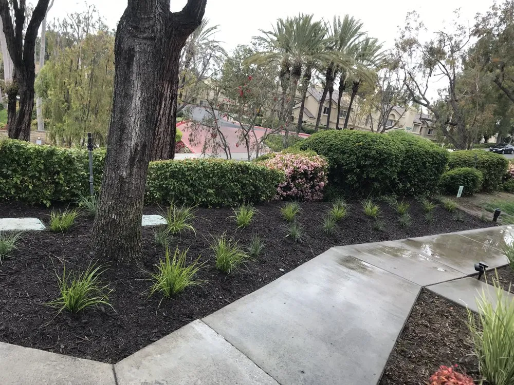 Reliable landscape design in Santa Ana, CA by S A Landscape