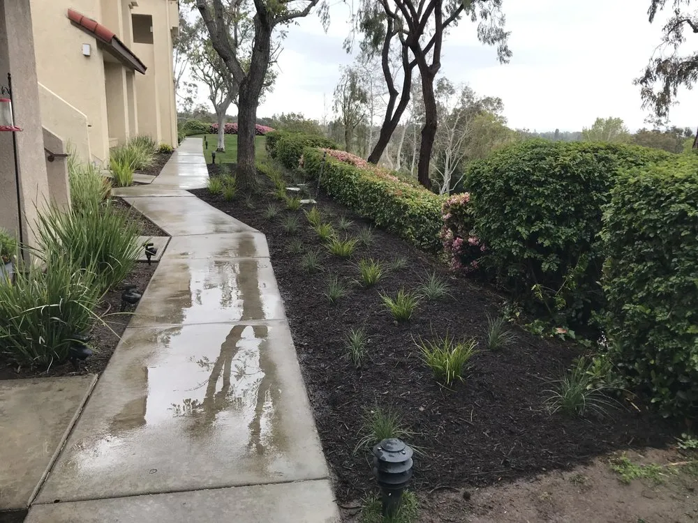 Local lawn care service experts serving Santa Ana, CA - S A Landscape