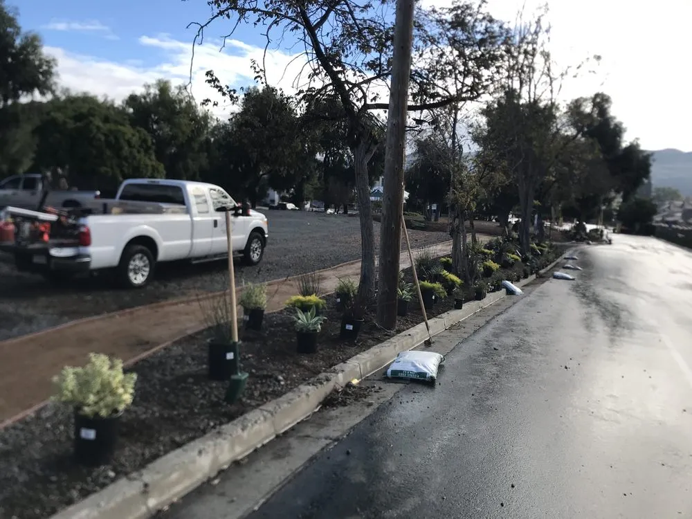 Professional lawn care service experts serving Santa Ana, CA - S A Landscape