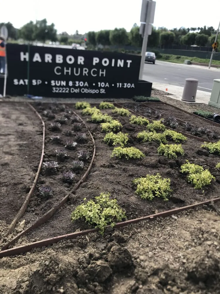 Top-rated yard cleanup service in Santa Ana, CA - S A Landscape