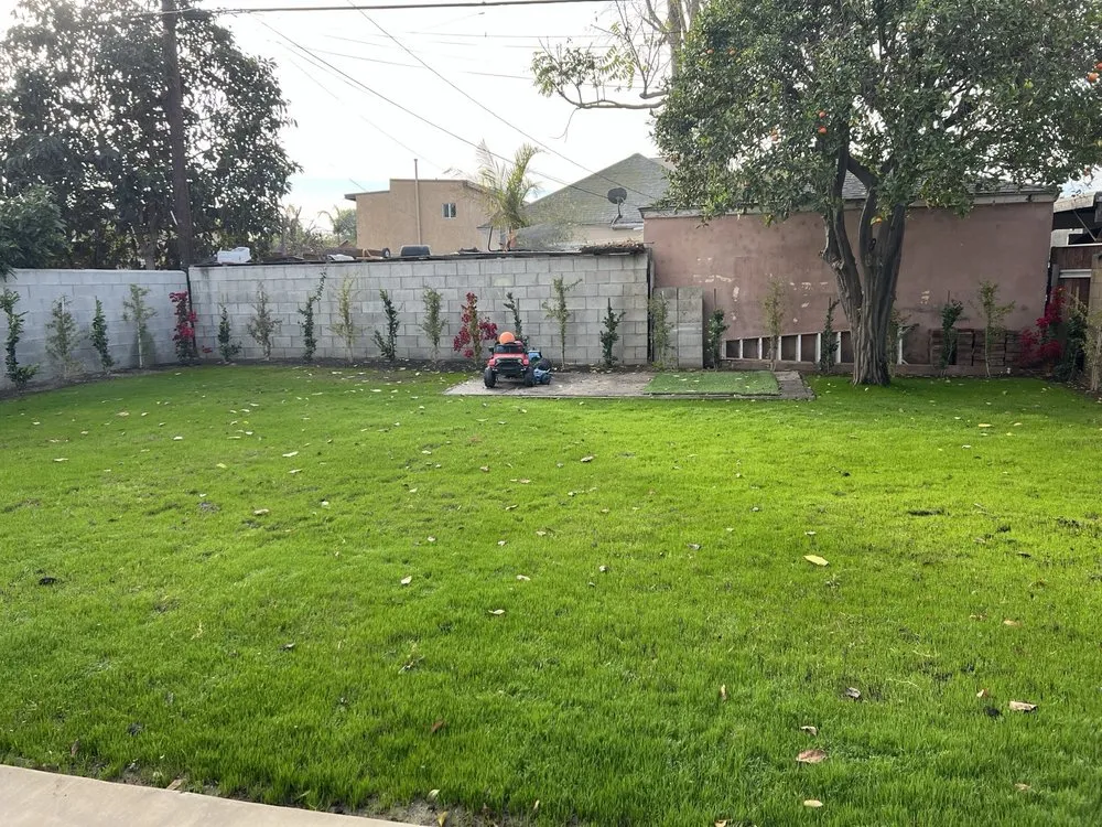 Local landscape design in Santa Ana, CA by S A Landscape