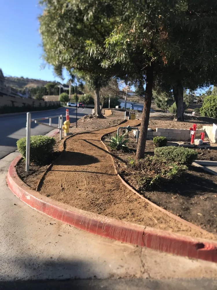 Expert yard cleanup service experts serving Santa Ana, CA - S A Landscape