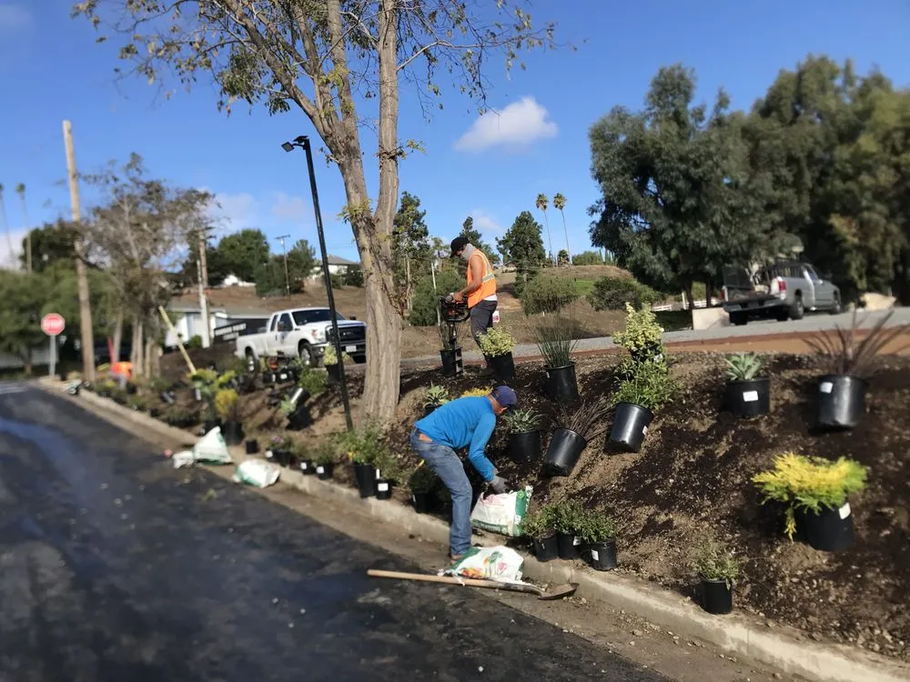 Professional lawn care service with custom design across Santa Ana, CA - S A Landscape