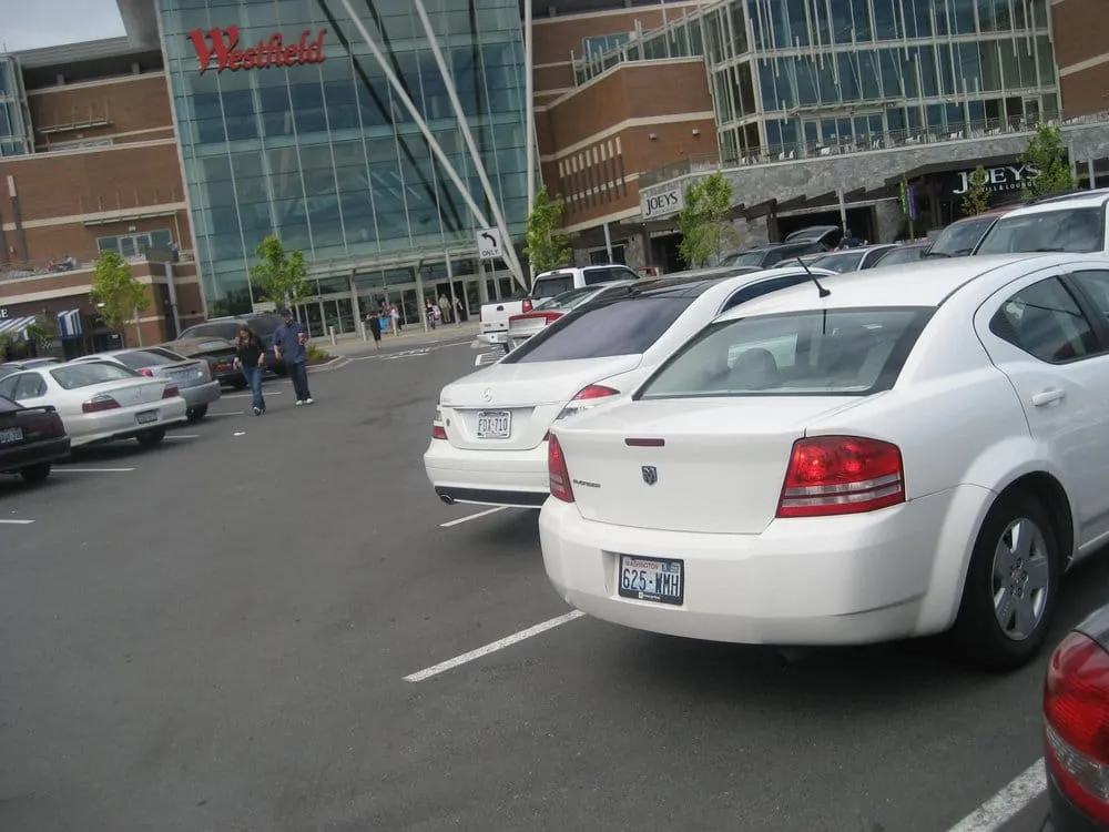 Professional yard maintenance in Santa Ana, CA - S A Landscape