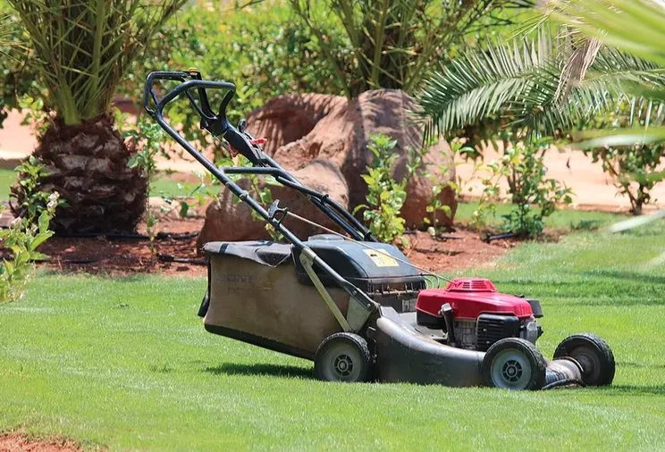 Local yard maintenance for outdoor upgrades across Dalton, GA - S A Landscaping