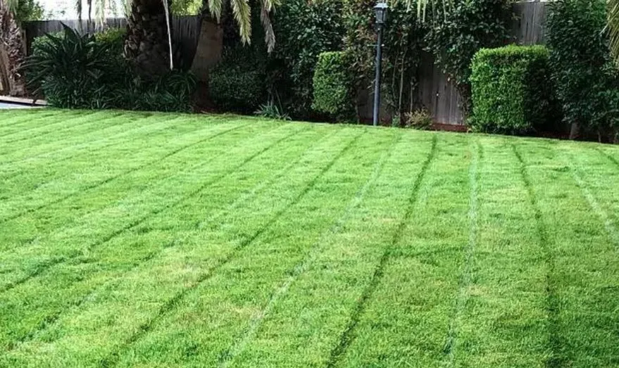 Reliable yard cleanup service experts serving Dalton, GA - S A Landscaping