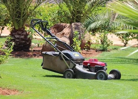 Top-rated yard maintenance for homes in Dalton, GA by S A Landscaping